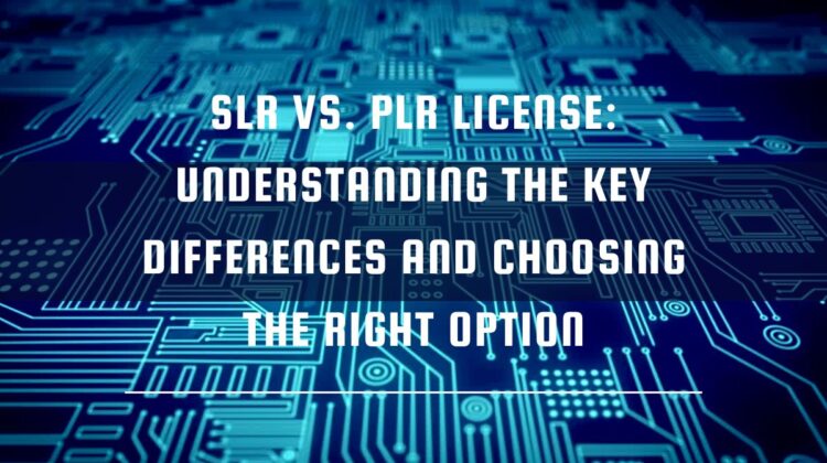 SLR vs. PLR License: Understanding the Key Differences and Choosing the Right Option