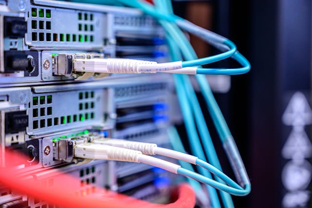 Cisco 48-port DNA Essential License | Boost Efficiency